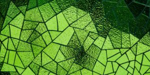 Grünes Mosaik. Professionalität und Professionalisierung