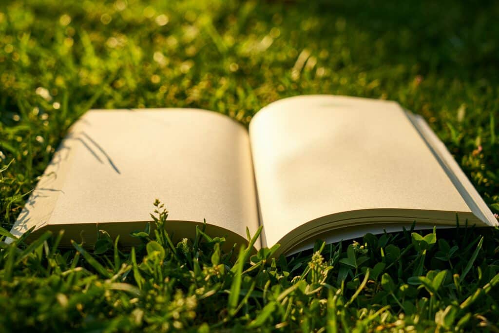 Ein Buch im Gras