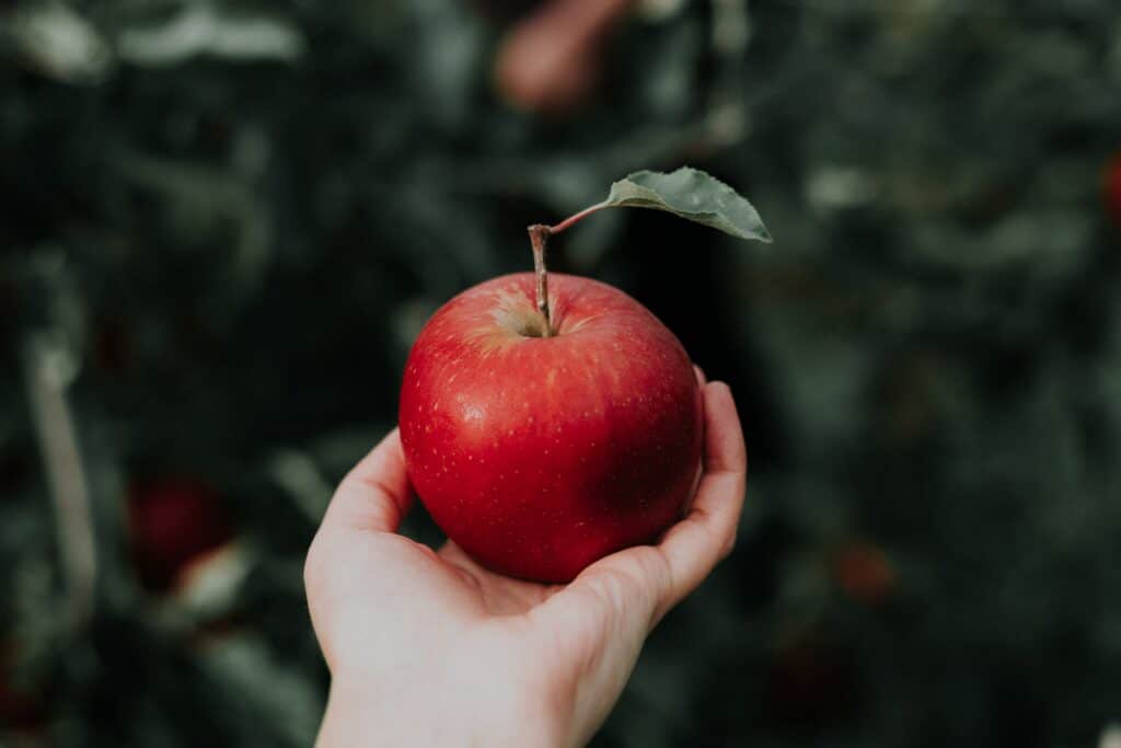 Eine Hand, die einen roten Apfel hält