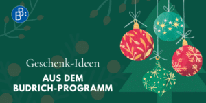 Geschenkideen Weihnachten 2025 Blog FB LI