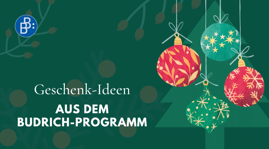 Geschenkideen Weihnachten 2025 Blog FB LI