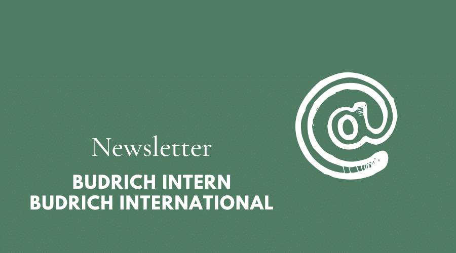 Newsletter dt. engl. budrich intern budrich international