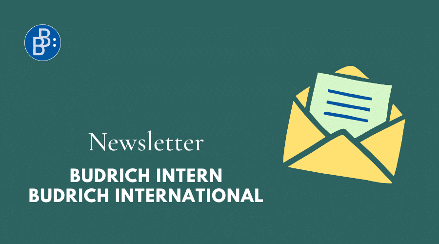 Newsletter Verlag Barbara Budrich